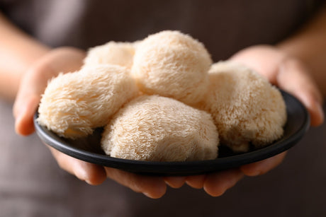 plate of lion's mane mushrooms