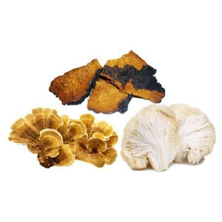 chaga mushroom, turkey tail mushroom, lion's mane mushroom