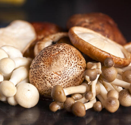 Mushrooms Vitamin D