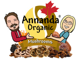 Shop Canadian Mushrooms, Chaga, Lion's Mane, Cordyceps, Reishi, Maitake, Turkey Tail, Shiitake Medicinal Mushrooms for Health. mushroom Tinctures, powdered mushrooms, mushroom tea & more.