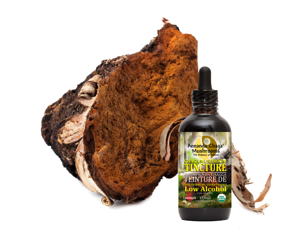 Wild Canadian Chaga Tincture — Dual Extracted