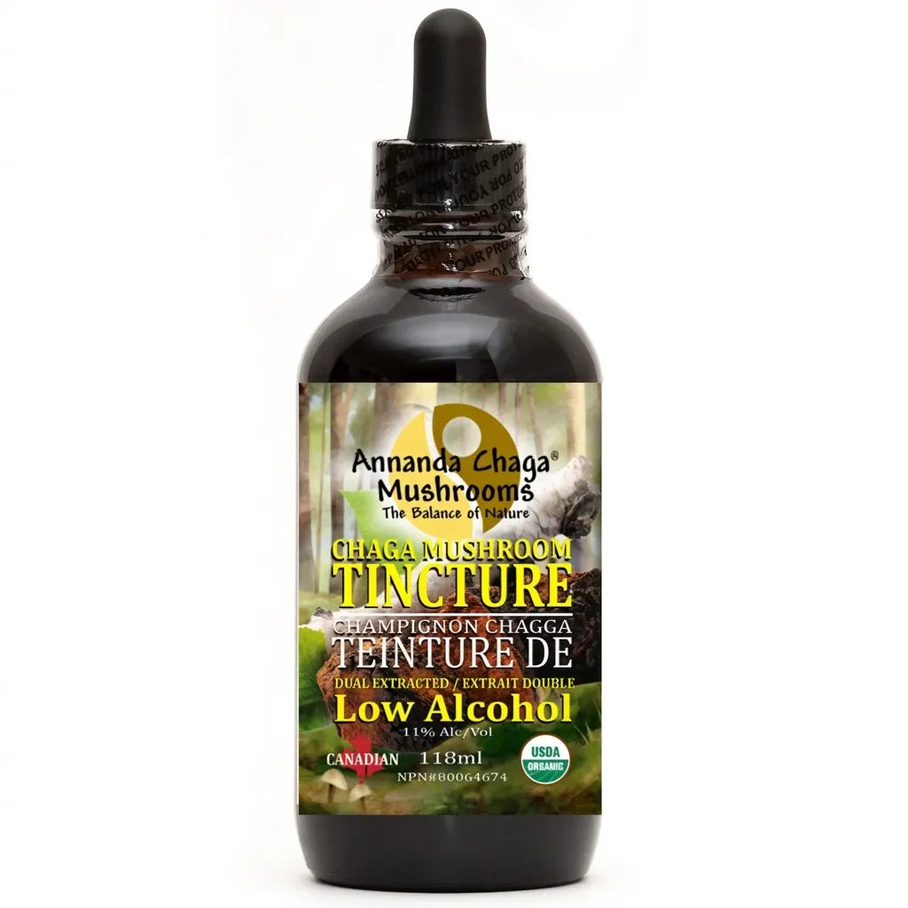 A 118ml dark amber glass dropper bottle of Annanda Chaga Mushrooms Ghaiga Mushroom Tincture Low Alcohol, featuring a black dropper cap and a detailed label on a white background.