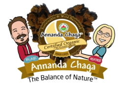 Annanda chaga Mushrooms Canadian Family Owned 