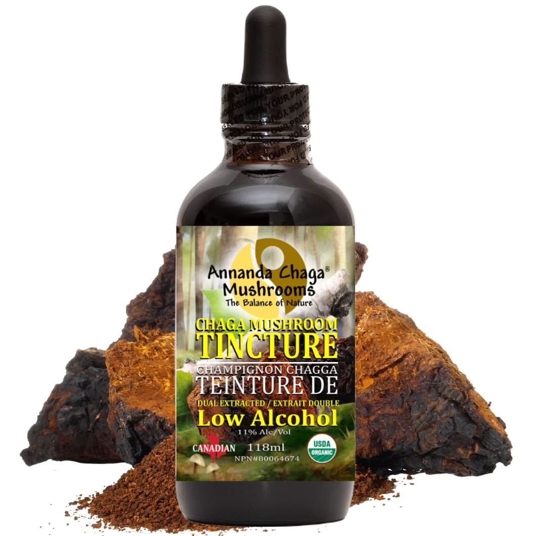 Chaga Mushroom Tincture, chaga extract from Annanda chaga