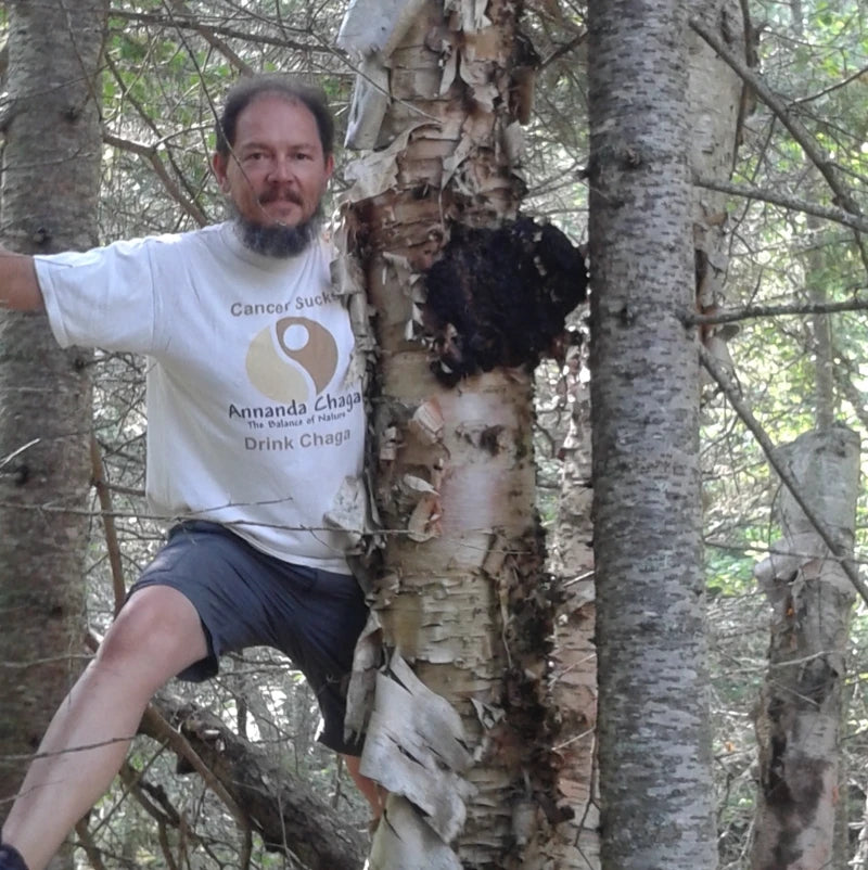 Annanda Organic Chaga Mushrooms