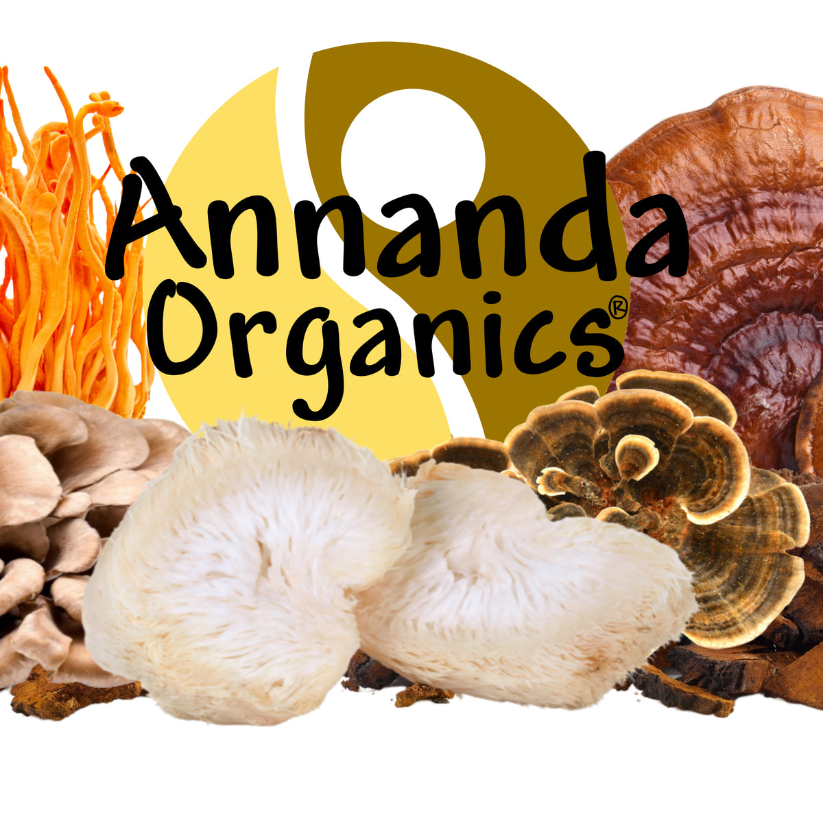 Annanda Organic Mushrooms 
