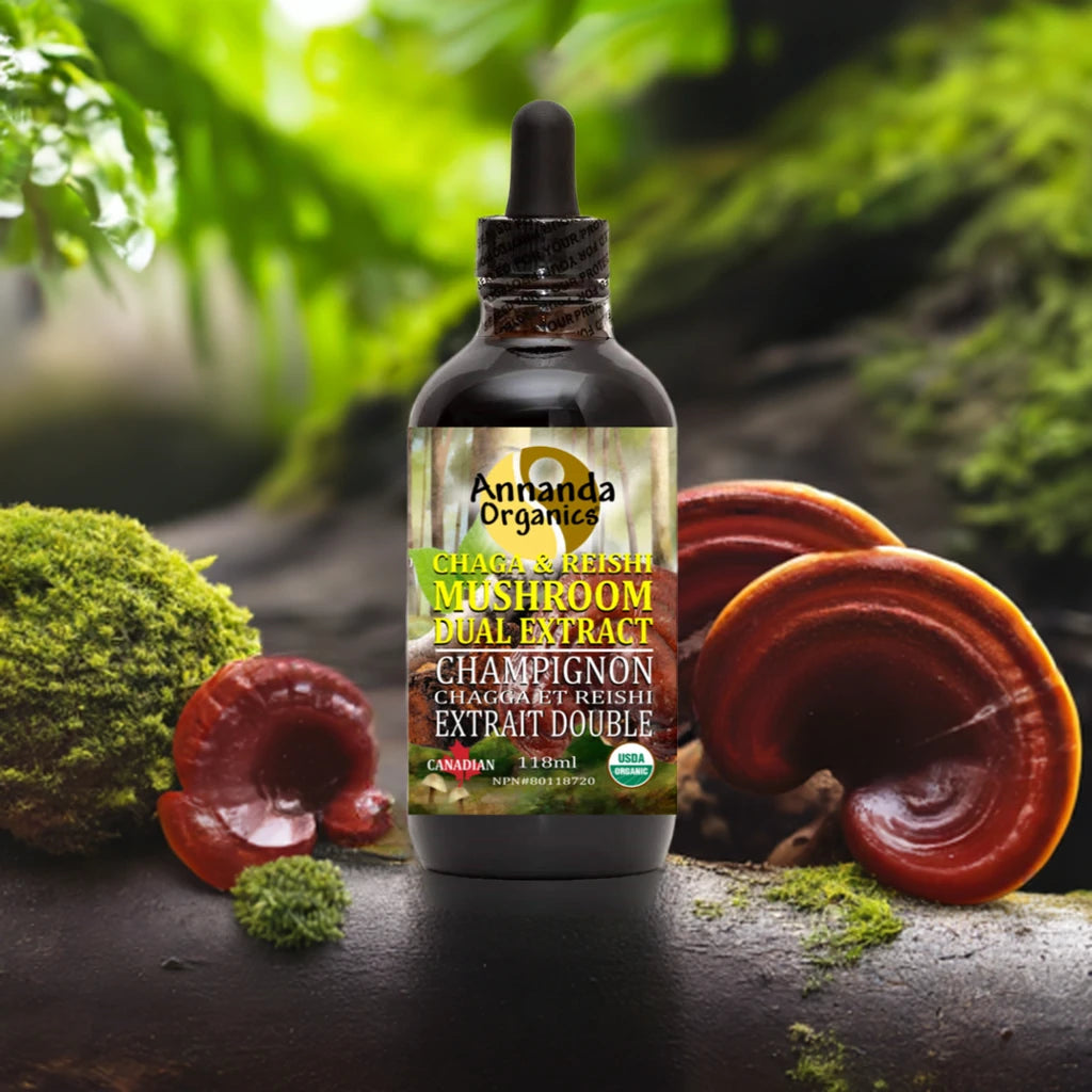 A bottle of Annanda Organics Chaga & Reishi Mushroom Dual Extract liquid supplement, styled on a dark surface with fresh reishi mushrooms, moss, and green foliage in the background.