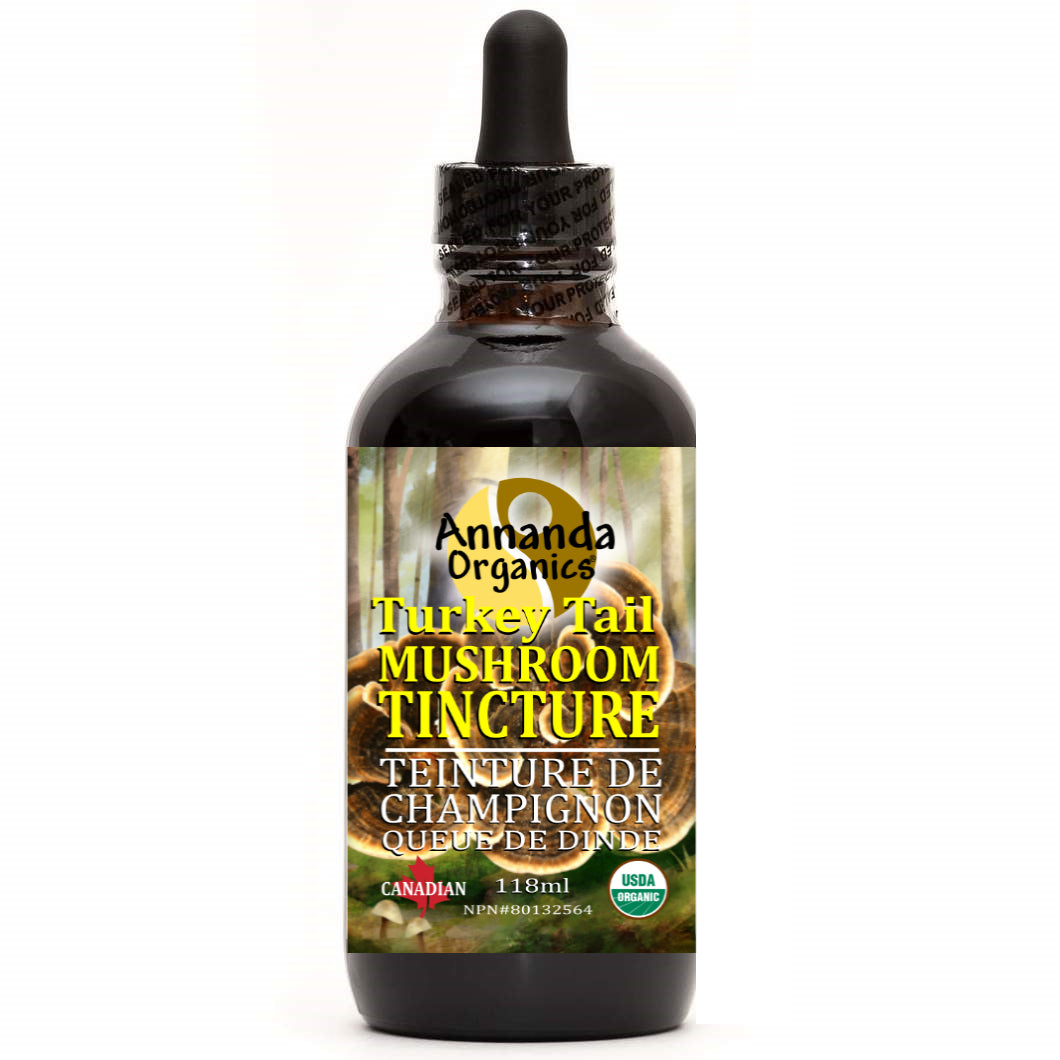 Bottle of Annama Organics Turkey Tail Mushroom Tincture on a white background