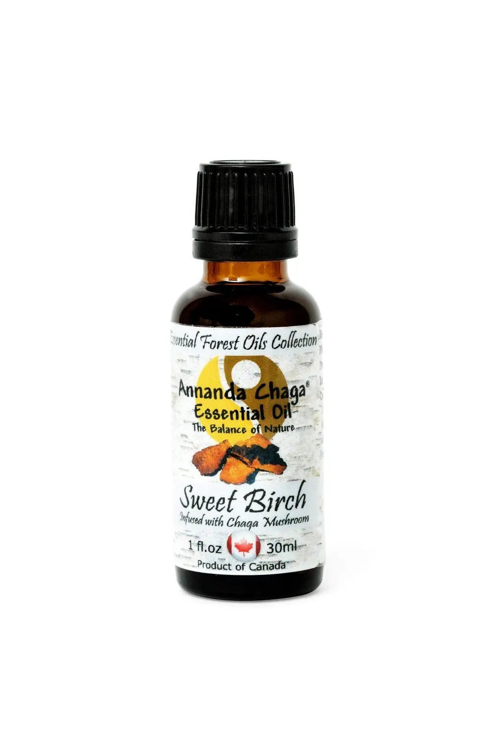Sweet Birch & Chaga Oil