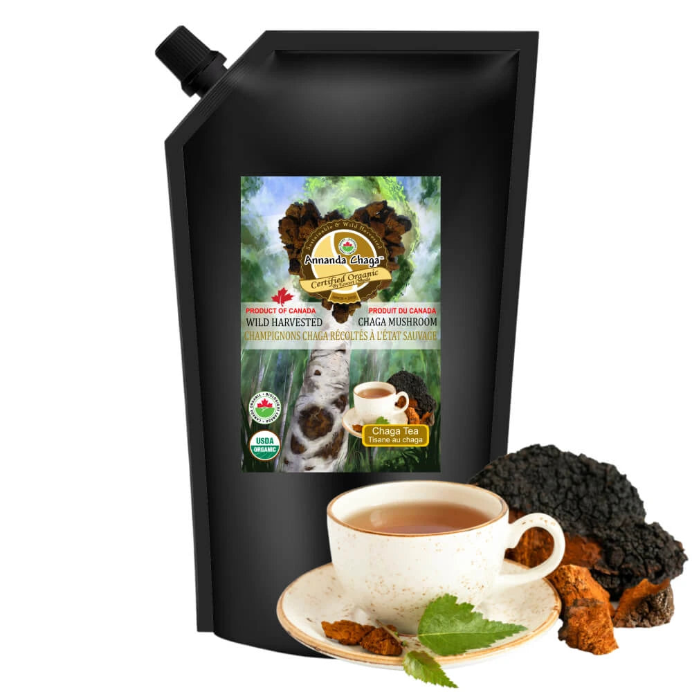Annanda Wild Chaga Tea Concentrate non carbonated mushroom tea in BPA free spout pouch 500ml