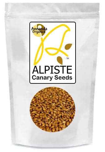 Alpiste Canary Seeds for Humans