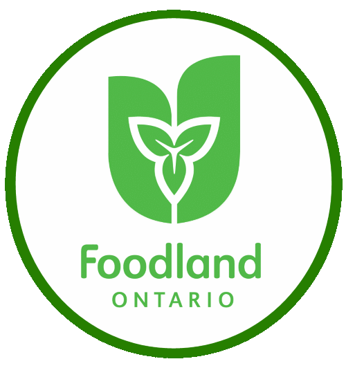 Organic Turkey Tail Powder