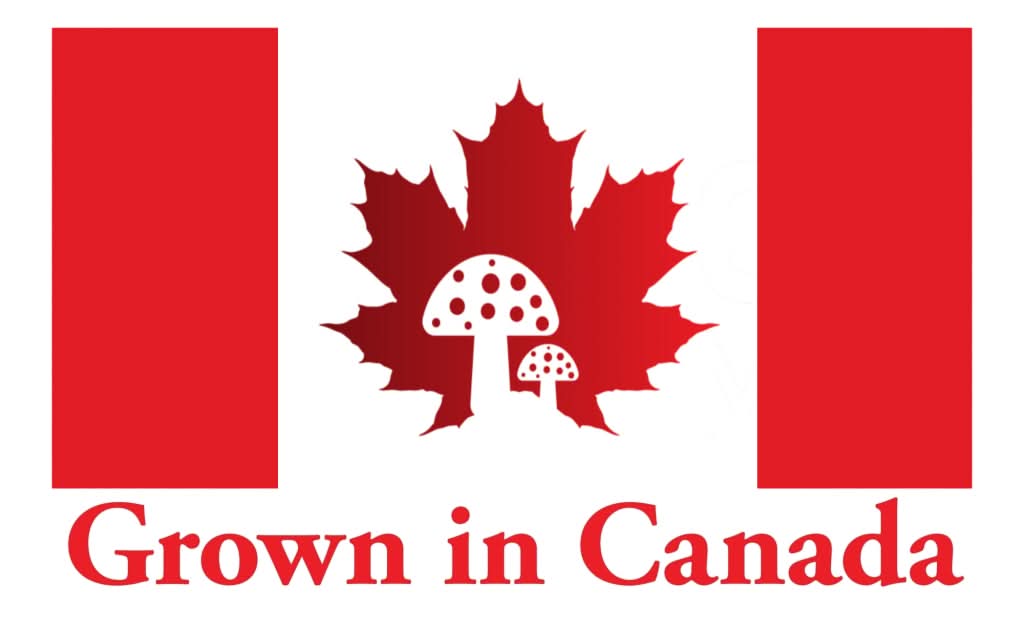 Organic Shiitake Powder