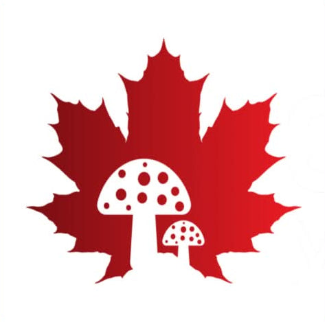 Certified Organic Canadian Chaga - Annanda Chaga Founders and Harvesters since 2012