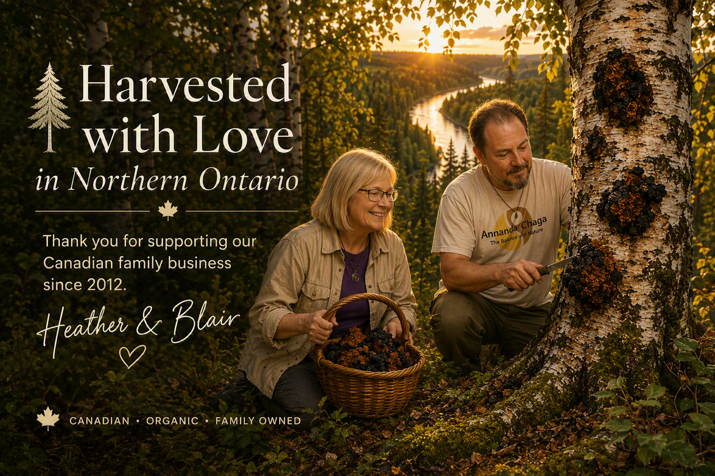 Heather and Blair harvesting wild chaga mushrooms in the Algoma Highlands near Sault Ste. Marie, Ontario.