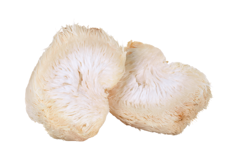 annanda lion's mane mushroom