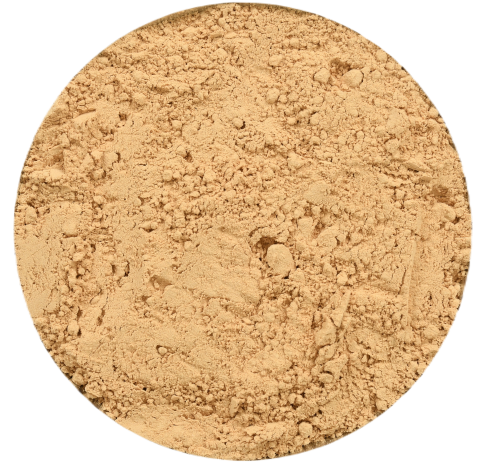 Annanda Lion's mane powder
