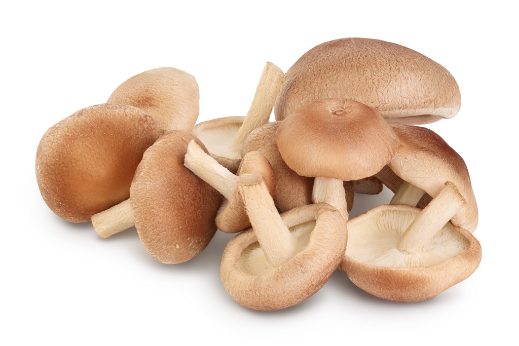 Fresh Shiitake Mushrooms