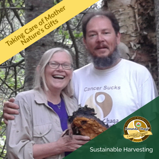 heather and blair annanda chaga mushrooms