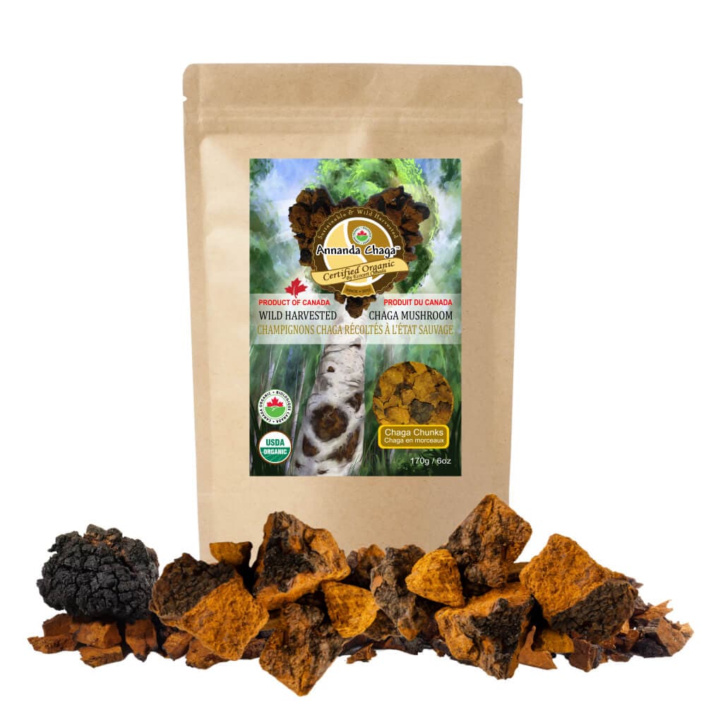Annanda chaga mushroom chunks