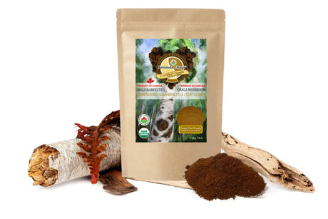 Annanda chaga fine powder