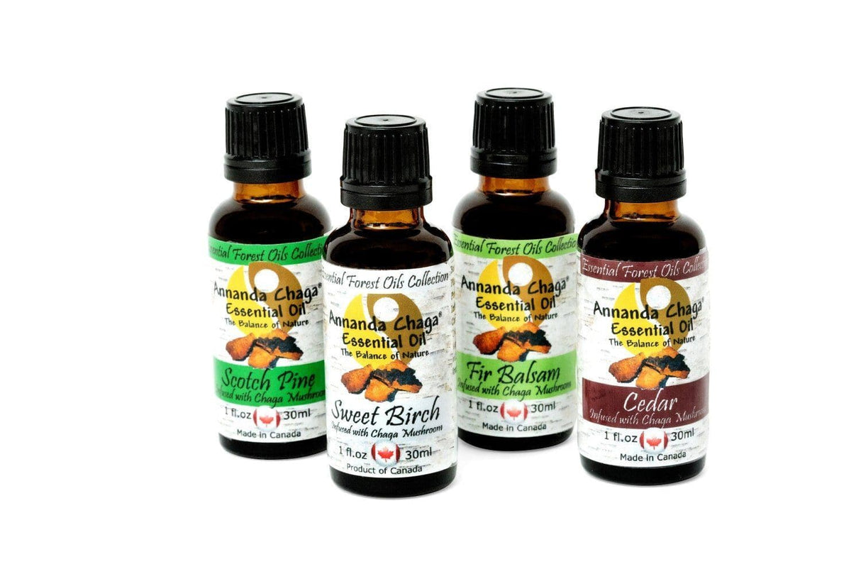 Scotch Pine and Chaga Mushroom Essential Oil - Annanda Organics-Annanda Chaga Mushrooms