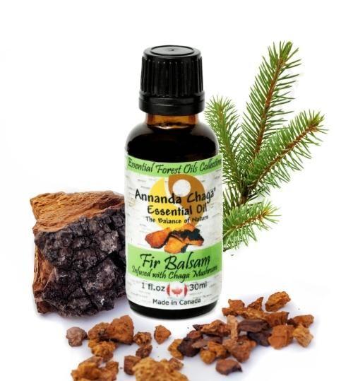 Fir Balsam and Chaga Mushroom Essential Oil - Annanda Organics-Annanda Chaga Mushrooms