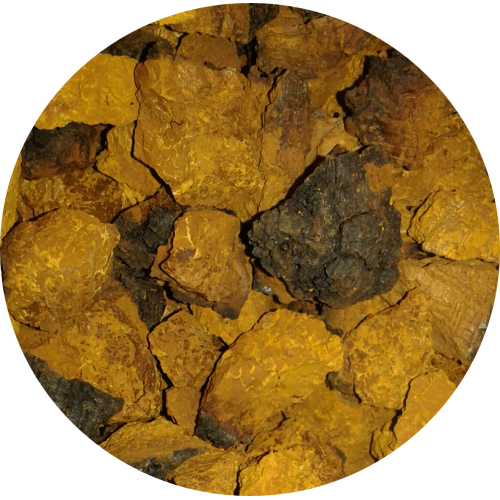 chaga chunks