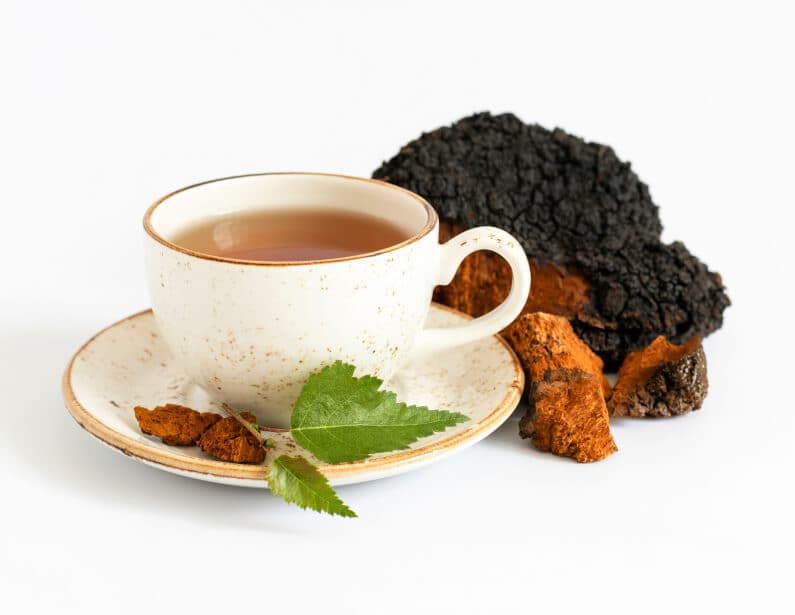 cup of brewed chaga tea