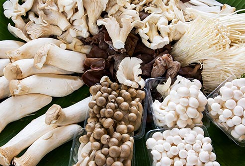 medicinal mushrooms 