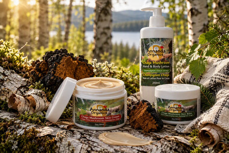 Chaga skin Care