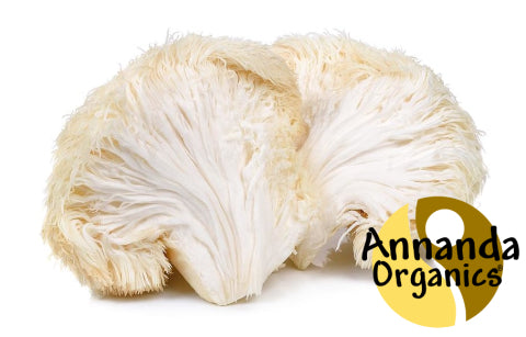 Lion's Mane Mushroom Extract, Lion's mane Extract