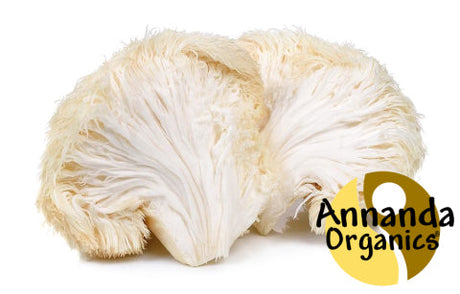 Lion's Mane Mushroom Extract, Lion's mane Extract