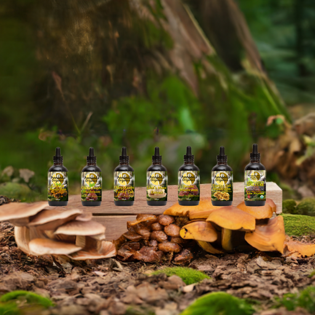 The Top Mushroom Supplements in Canada for Health and Wellness