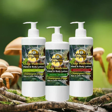chaga mushroom and skin care