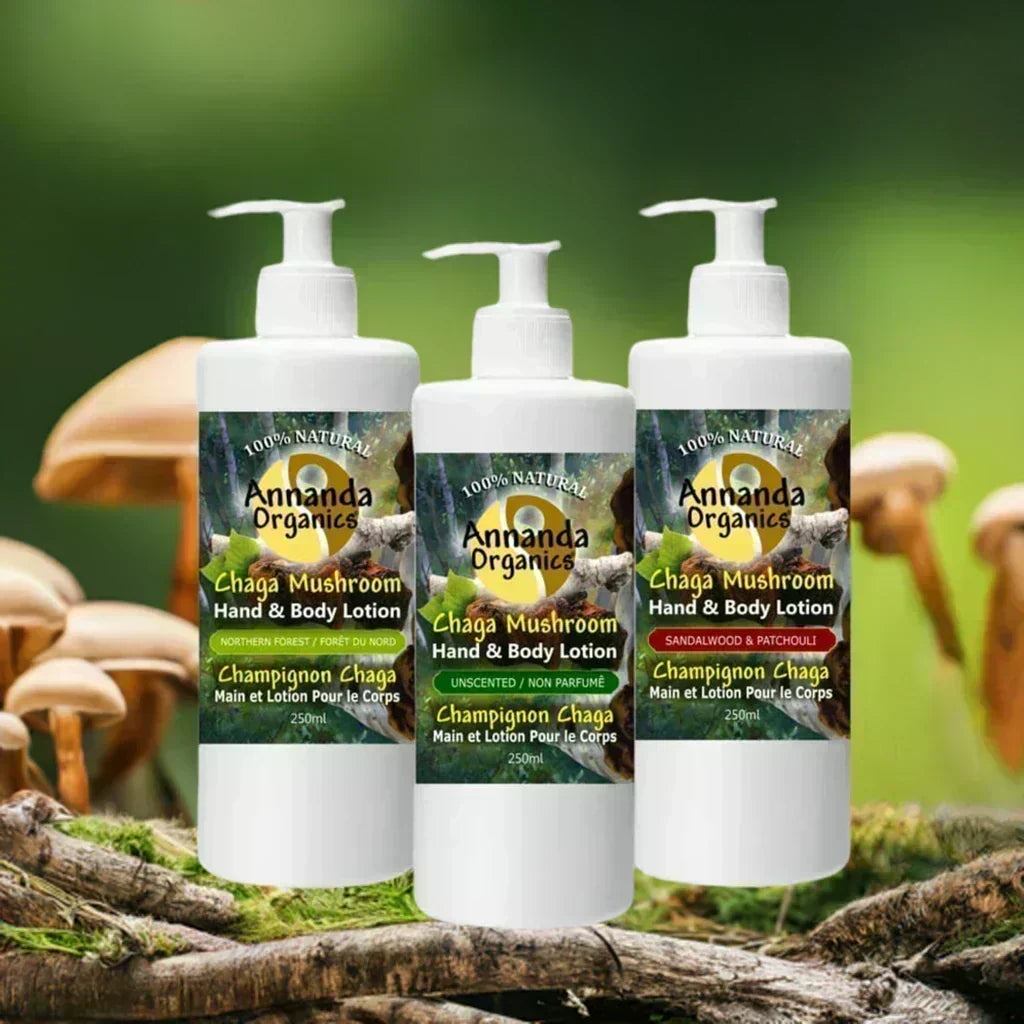 chaga mushroom and skin care