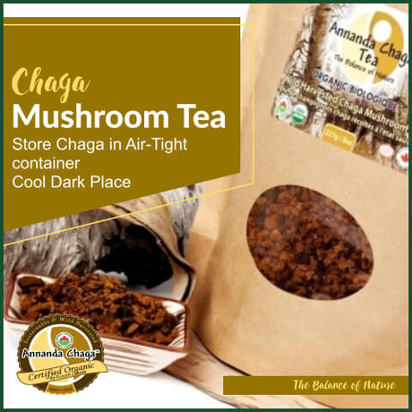 How to store chaga mushroom, does chaga mushroom go bad?