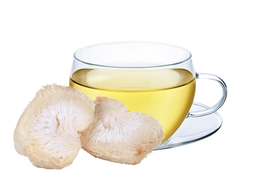 lions mane tea