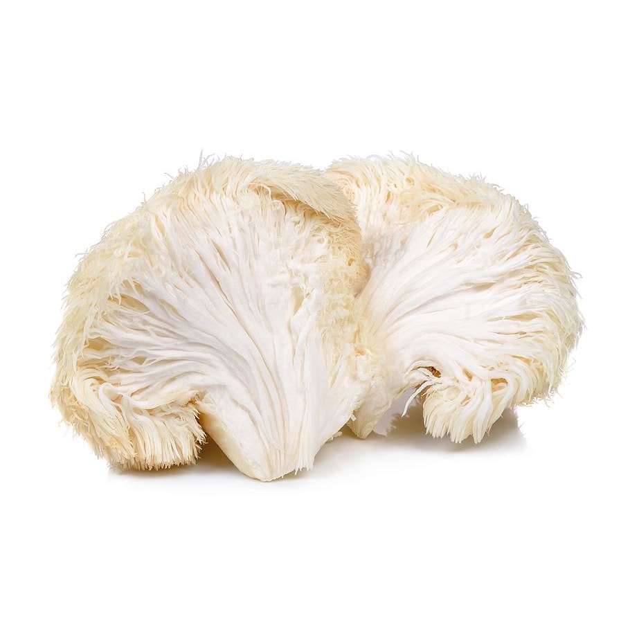lions mane mushroom helps with alzheimer's 