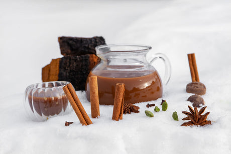 The Best Chaga Hot Chocolate Recipe Ever