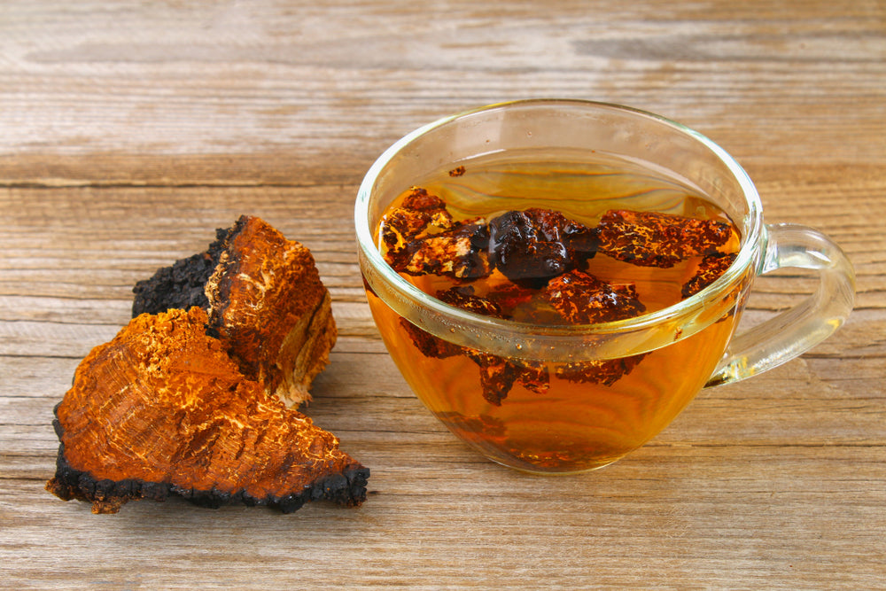 chaga mushroom tea