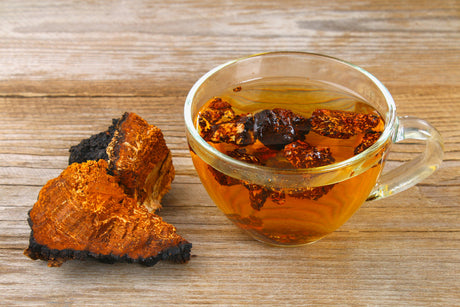 chaga mushroom tea