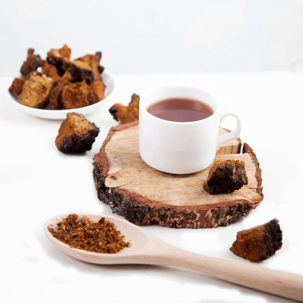 Everything you Need to Know about Chaga Tea