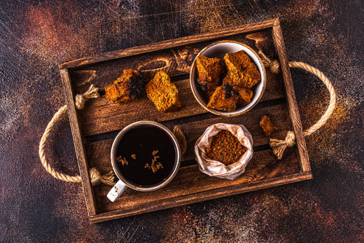 how to prepare chaga mushroom