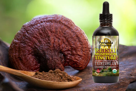 Reishi Powder and Reisi Tincture with Forest Background