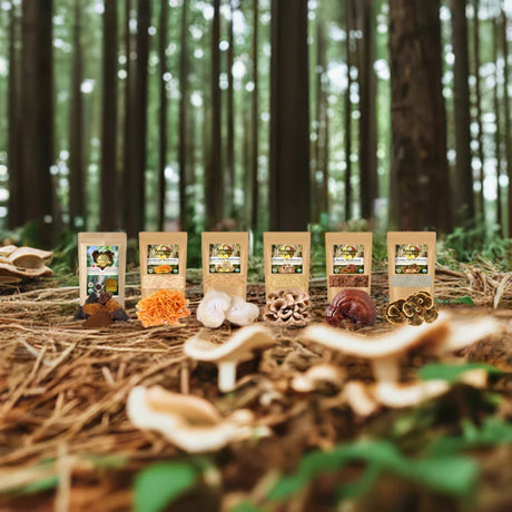 Mushroom Powders in Forest Scene