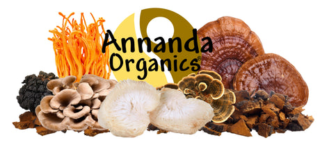Annanda Organic Mushroom Shop - View all our products