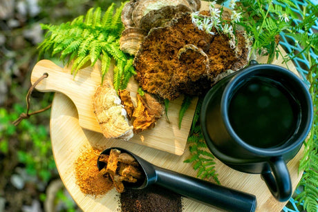 Chaga Mushroom Superfood chaga mushroom with cup of chaga tea on platter with natural background.