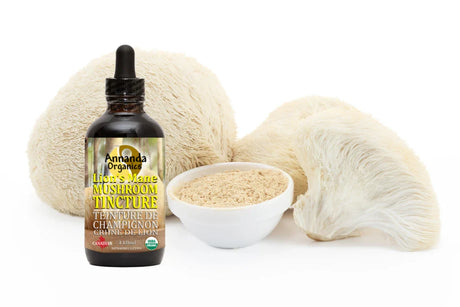 Lions Mane Powder and Lions mane tincture
