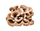 Maitake